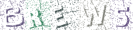 Type the Shadowed Word
