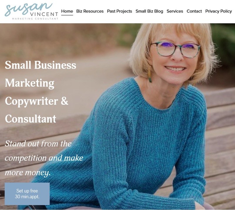 Screen shot of Susan Vincent&rsquo;s freelance website