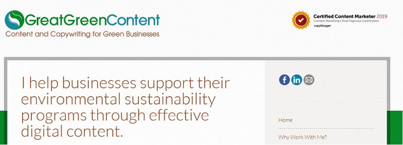 Screen shots of various copywriters&rsquo; websites who have branded their business names