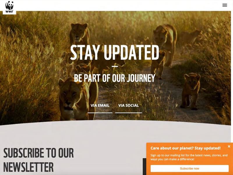 Screen shot of World Wildlife Fund&rsquo;s e-newsletter sign up page